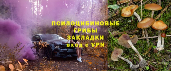 a pvp Пересвет