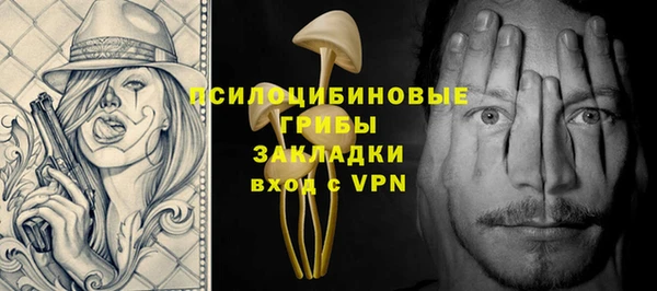 сатива Алексеевка