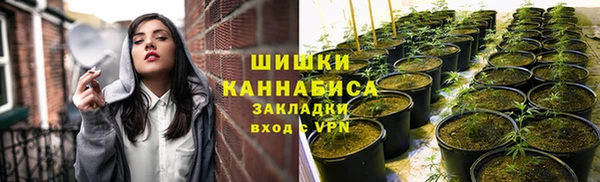 трава Арсеньев