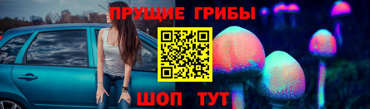 Галлюциногенные грибы прущие грибы  Вход с VPN  Лобня 